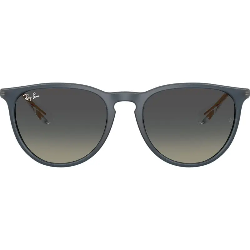 Ray-Ban RB4171 6813/11 54 ERIKA