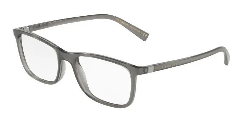 Dolce&Gabbana DG5027 3160 55