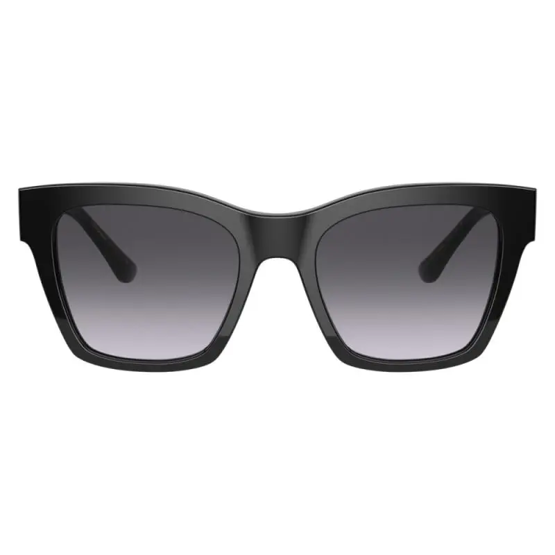 Dolce&Gabbana DG4384 501/8G 53
