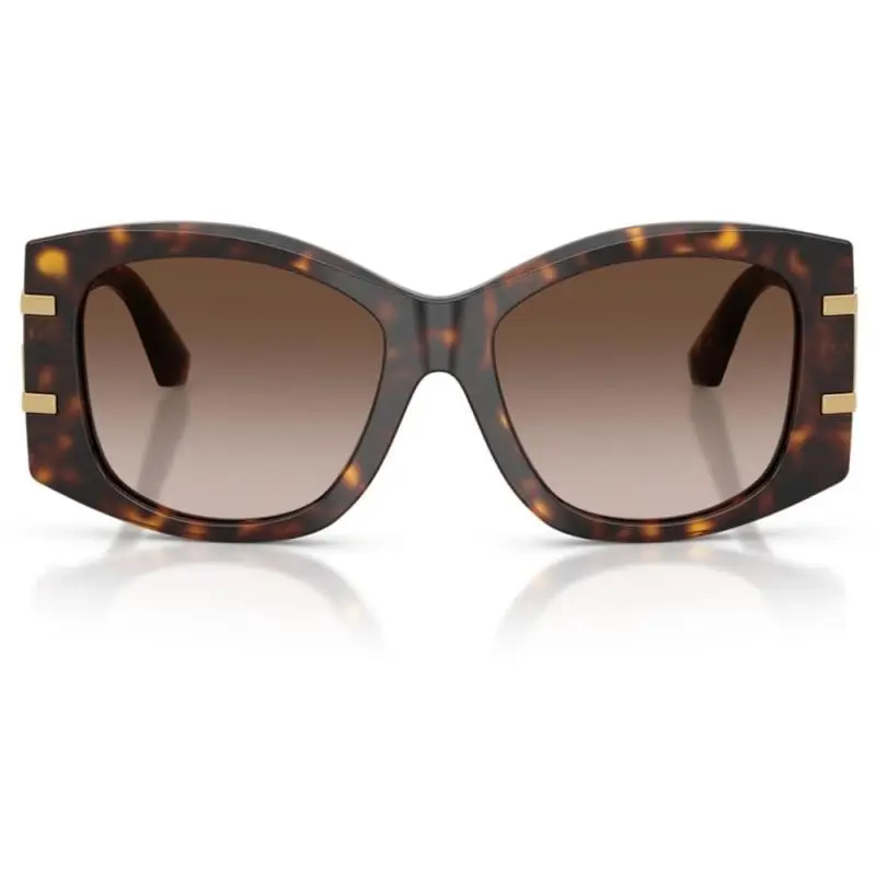 Dolce&Gabbana DG4501 502/13 54