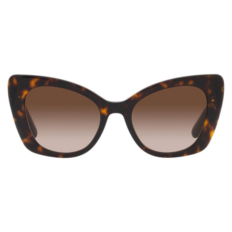 Dolce&Gabbana DG4405 502/13 53