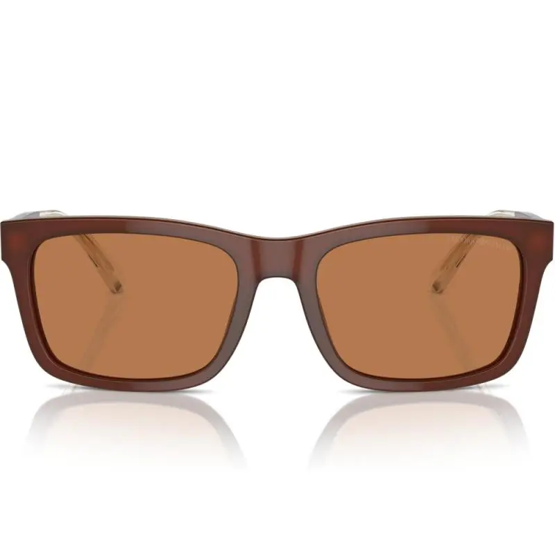 Emporio Armani EA4224 6095/73 57