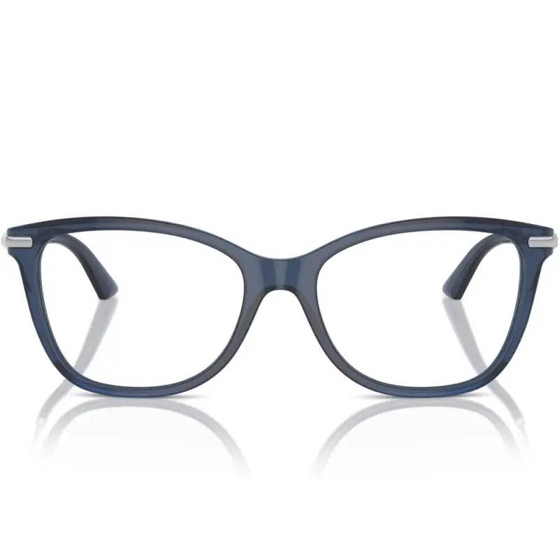 Jimmy Choo JC3007HB 5035 54