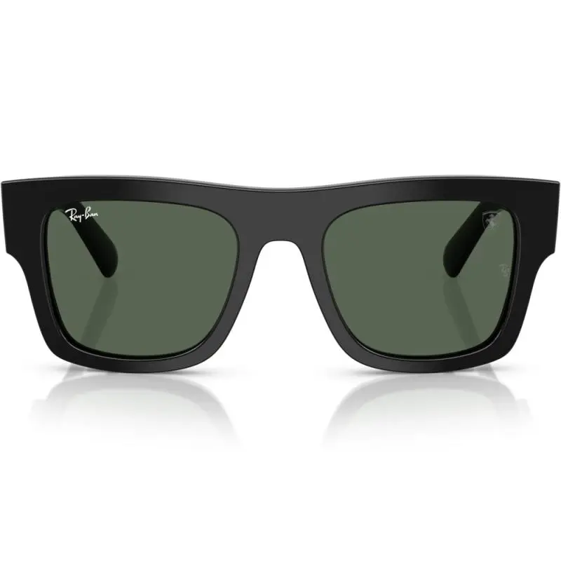 Ray-Ban RB2217M F60171 53