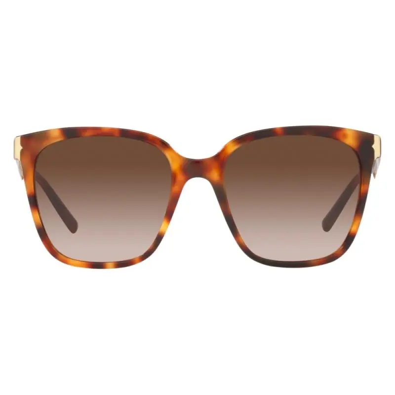 Bvlgari BV8245 5515/13 55