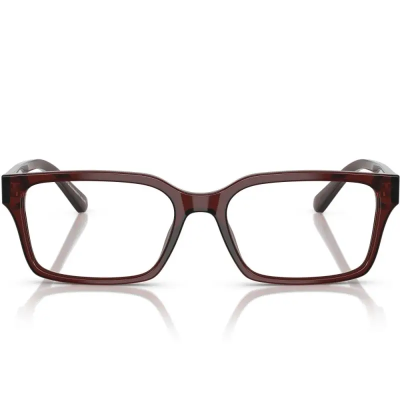 Emporio Armani EA3244 6174 55