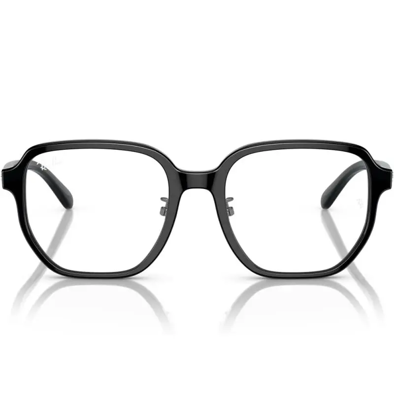 Ray-Ban RX5424D 2000 54