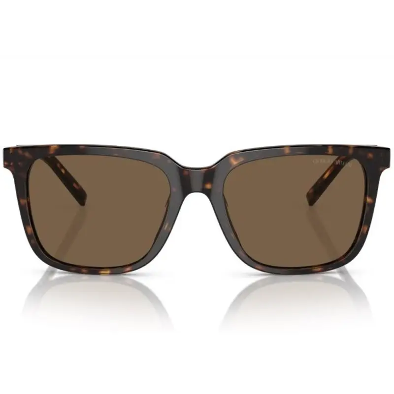 Giorgio Armani AR8202U 587973 55