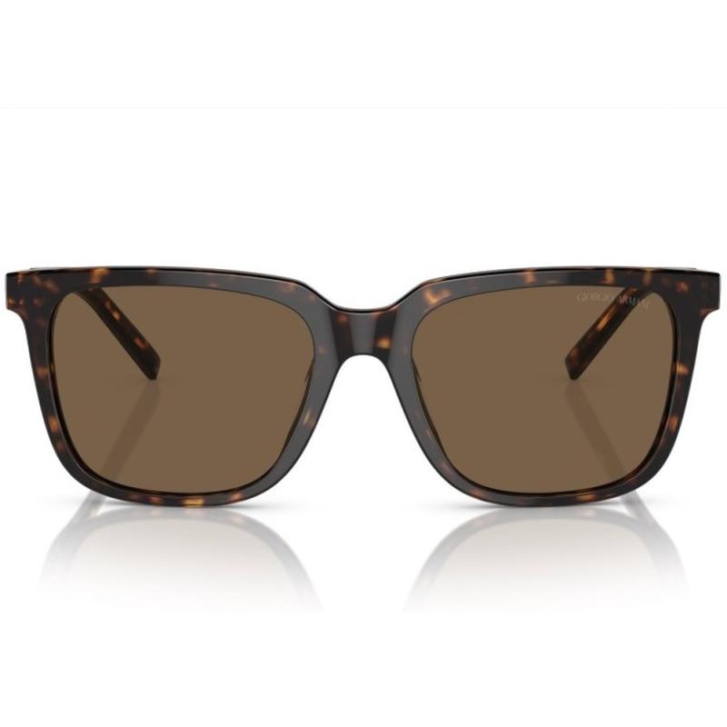 Giorgio Armani AR8202U 587973 55