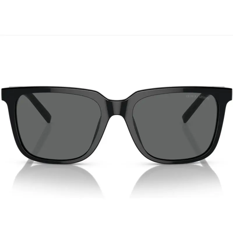 Giorgio Armani AR8202U 587587 55