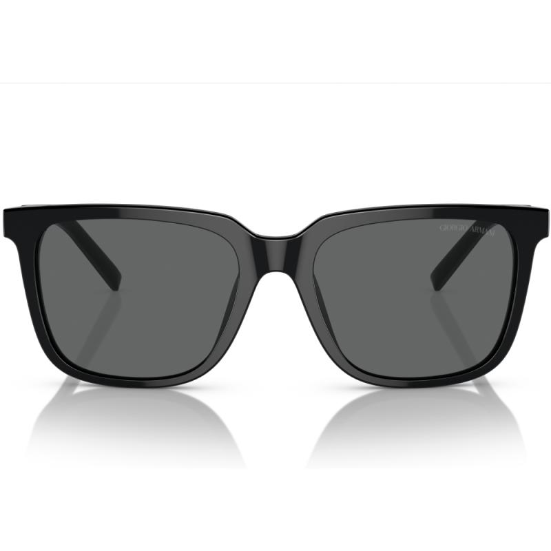 Giorgio Armani AR8202U 587587 55