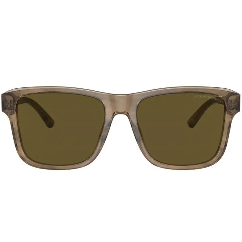 Emporio Armani EA4208 605573 56