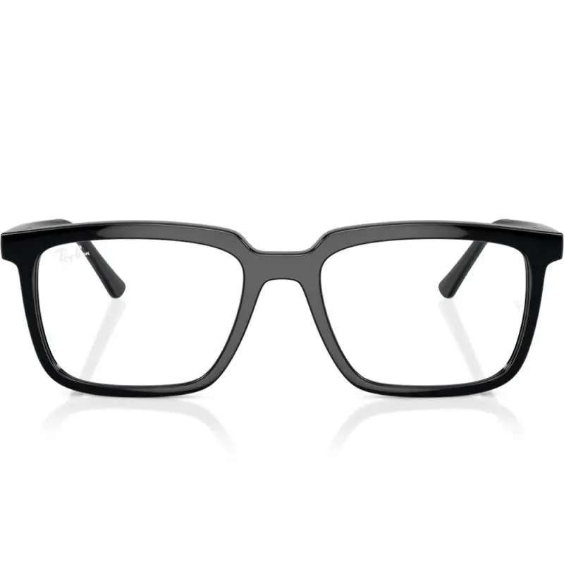 Ray-Ban RX7239 2000 54 ALAIN