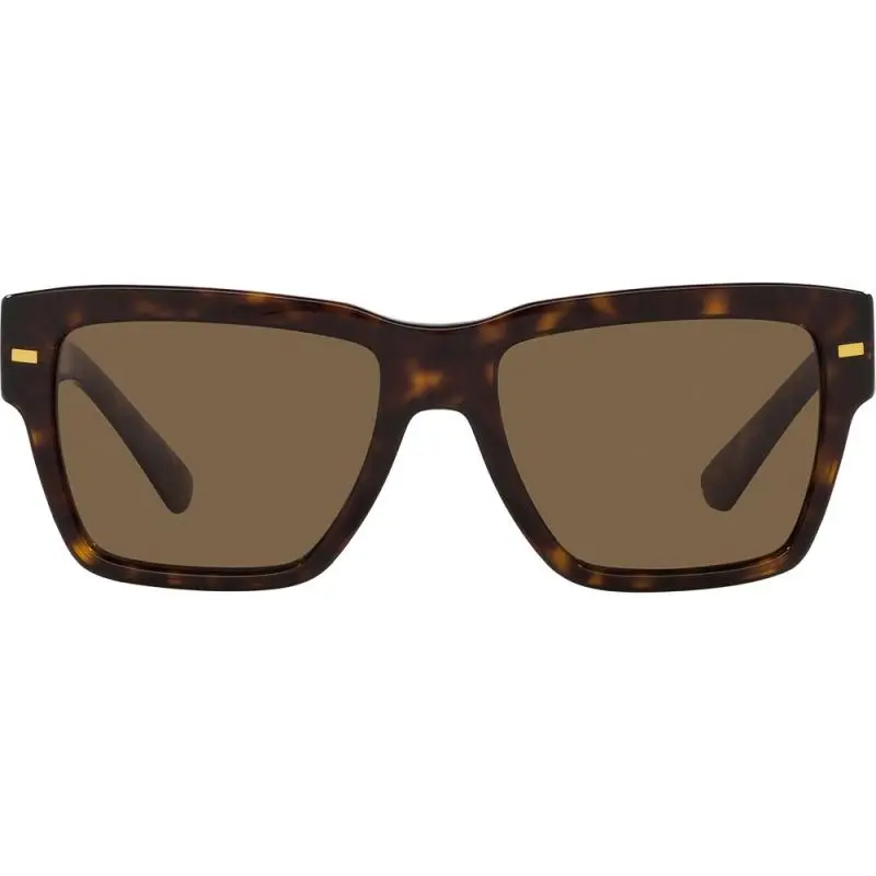 Dolce&Gabbana DG4431 502/73 55