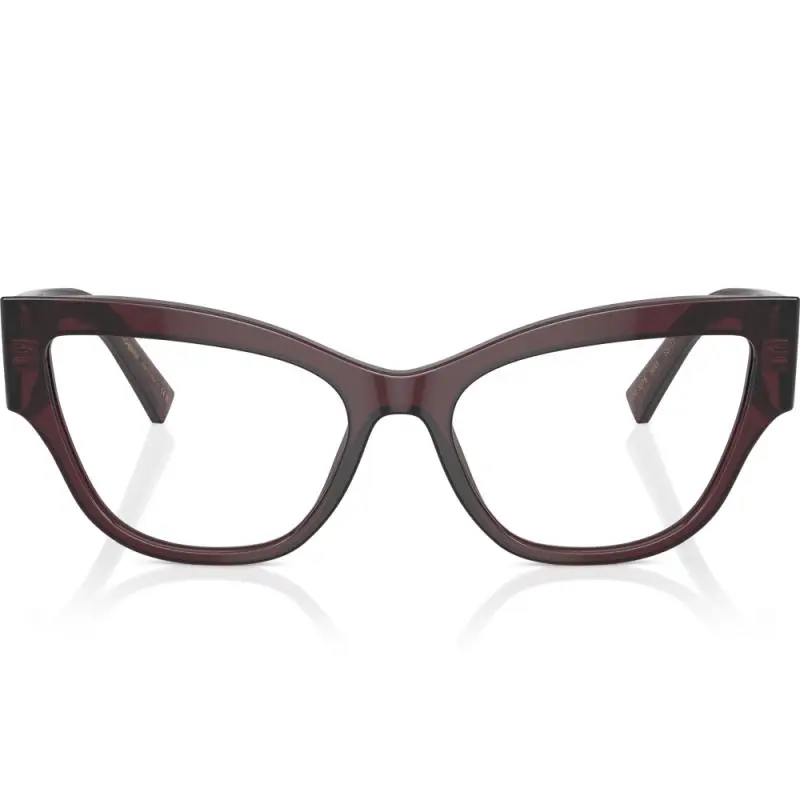 Dolce&Gabbana DG3378 3045 55