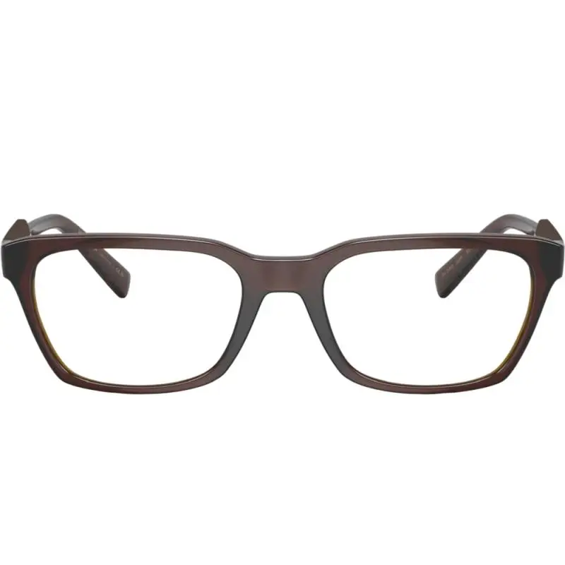 Dolce&Gabbana DG5088 3295 55