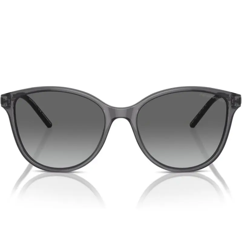 Emporio Armani EA4220 6106/11 54