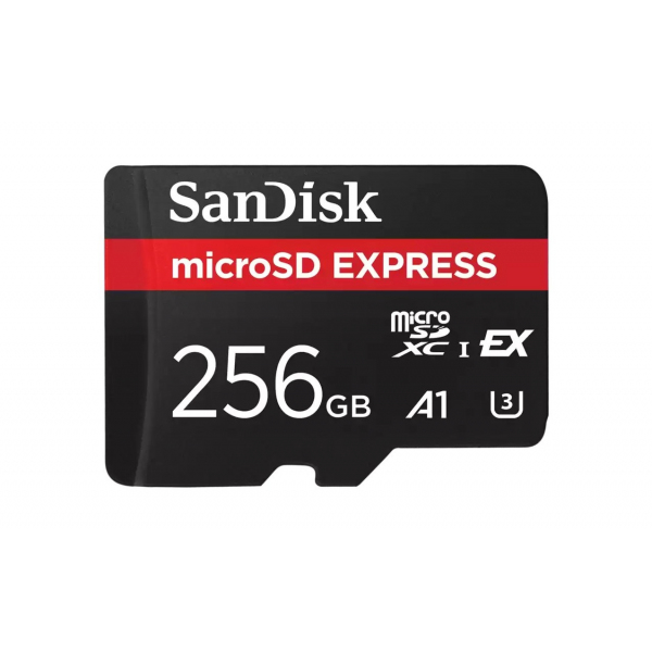 Card Memorie microSDXC SanDisk Express, 256Gb, Clasa 10 / UHS-1 U3 SDSQXFN-256G-GN4NN