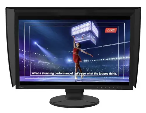 Monitor IPS LED Eizo 24.1inch CG2400SV, WUXGA (1920 x 1200), HDMI, DisplayPort (Negru)