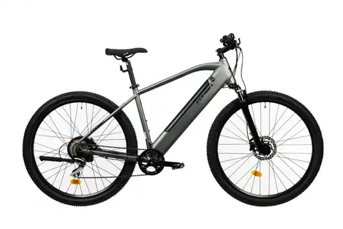 Bicicleta Electrica Corwin 28161, roti 28inch, cadru 520mm, motor 250 W, 9 viteze, acumulator 16.75 Ah (Gri)