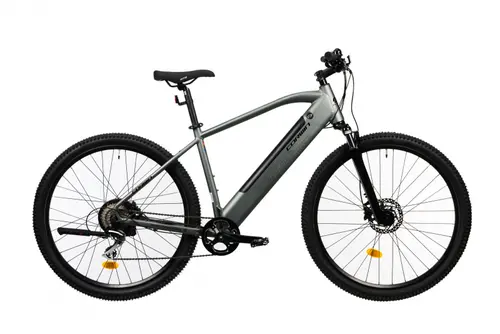 Bicicleta Electrica Corwin 28161, roti 28inch, cadru 520mm, motor 250 W, 9 viteze, acumulator 16.75 Ah (Gri)