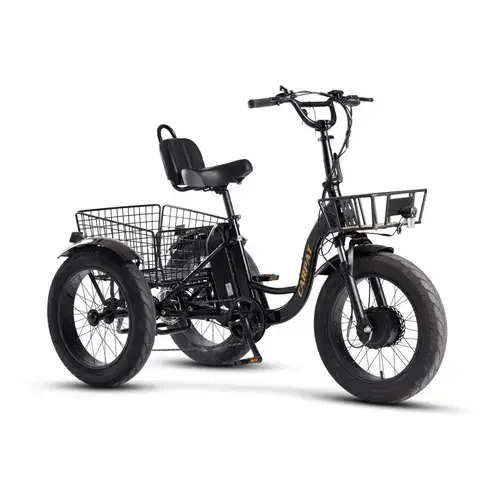 Tricicleta Electrica 20inch Carpat 226C20561E93, Motor 250W, Baterie 48V 14.5Ah, 7 Viteze, Cosuri Fata/Spate Incluse, autonomie 40-50km, Negru