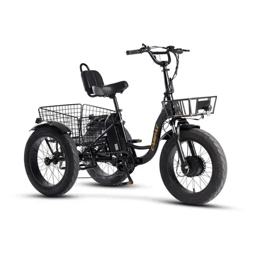 Tricicleta Electrica 20inch Carpat 226C20561E93, Motor 250W, Baterie 48V 14.5Ah, 7 Viteze, Cosuri Fata/Spate Incluse, autonomie 40-50km, Negru