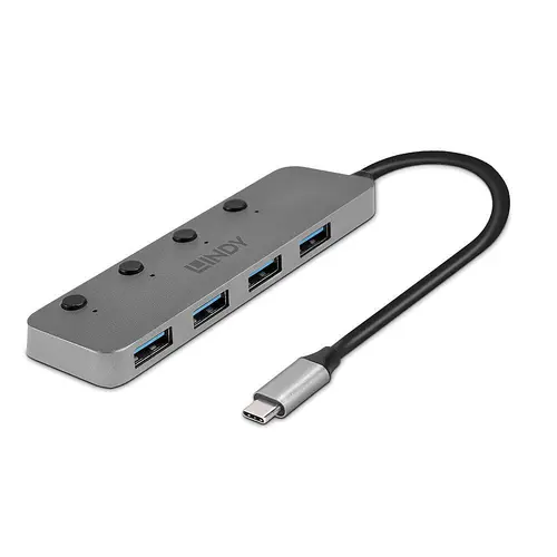 Hub Lindy LY-43383, 4 Port USB 3.2 (Gri)