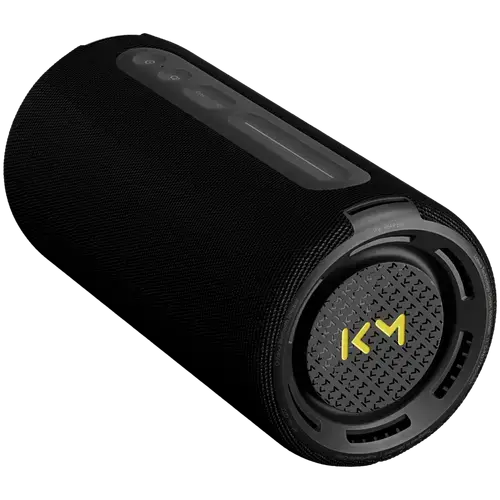 Boxa Portabila LOEWE WE HEAR Pro, 50 W, Bluetooth, USB-C, IPX6 (Negru)