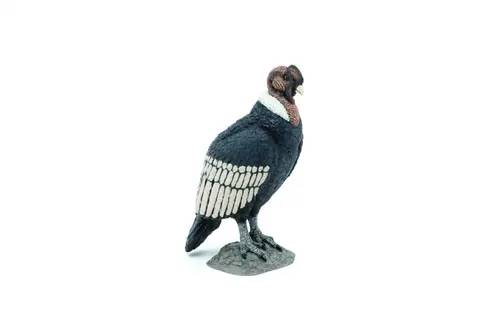 Figurina Papo Wild animal kingdom - Condor (Multicolor)