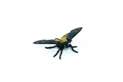 Figurina Papo - Molie (Multicolor)