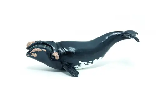 Figurina Papo Marine life - Right whale (Albastru)
