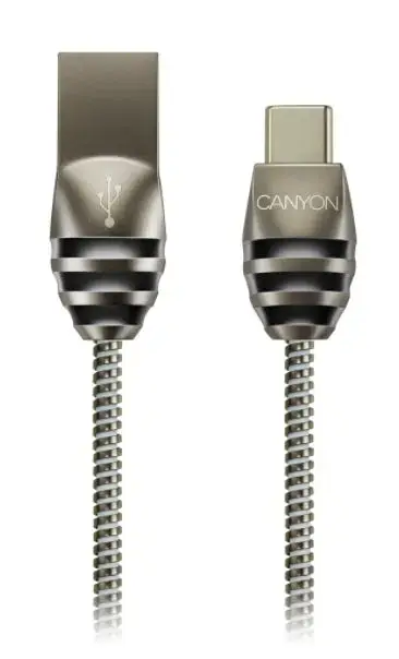 Cablu de date Canyon CNS-USBC5DG, USB 2.0, USB Type C, 1 m (Argintiu)