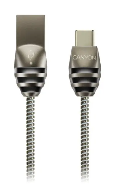 Cablu de date Canyon CNS-USBC5DG, USB 2.0, USB Type C, 1 m (Argintiu)