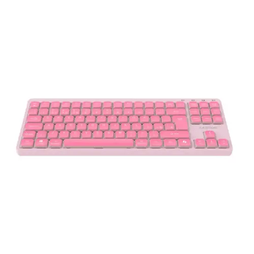 Tastatura Canyon OnType 10, Wired, USB-C (Roz)