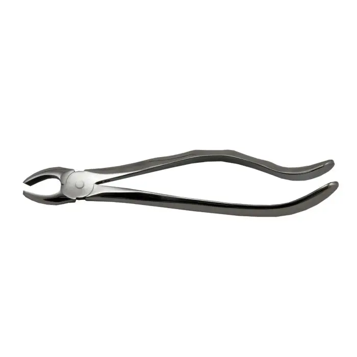 Cleste 17 - Molar superior dreapta