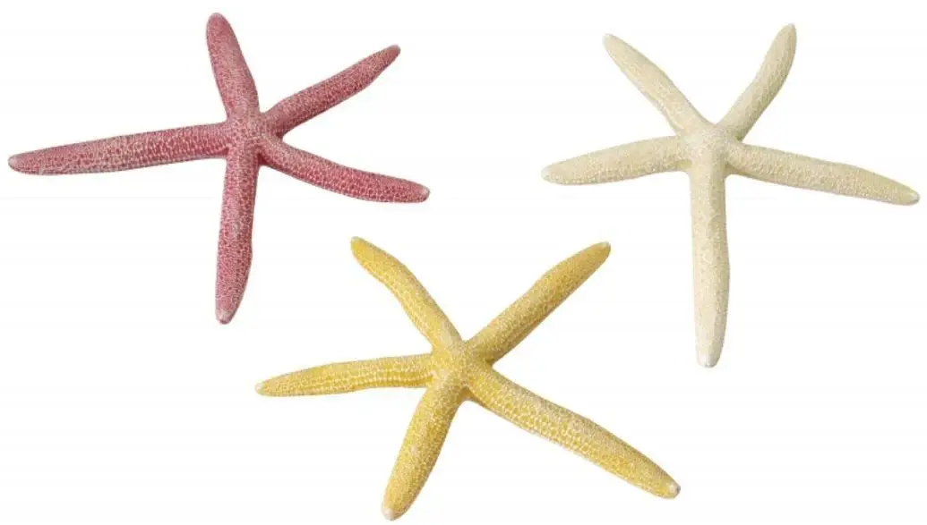 AQUA D'ELLA Decoraţiune pentru acvarii Starfish 18,5cm, diverse culori