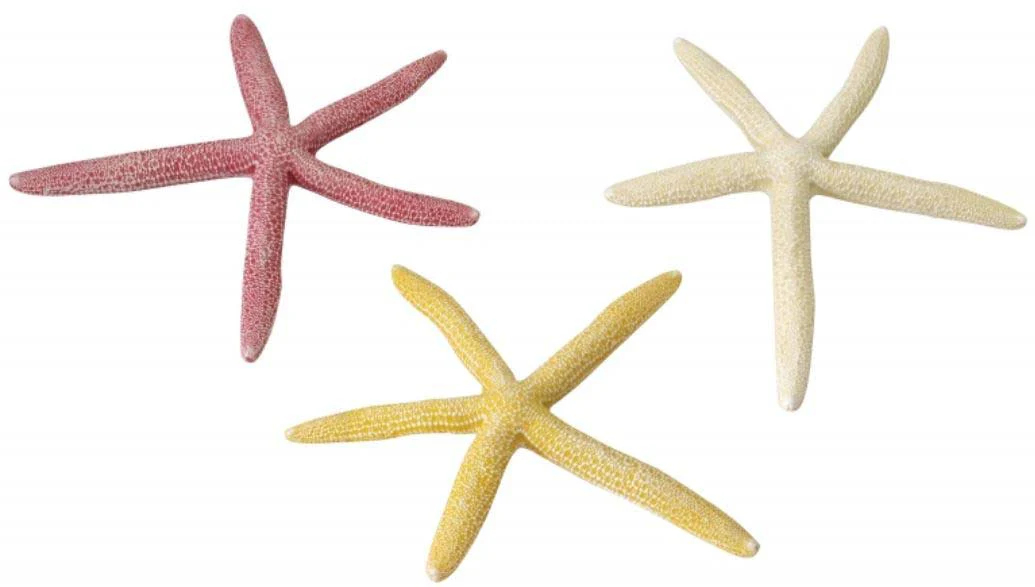 AQUA D'ELLA Decoraţiune pentru acvarii Starfish 18,5cm, diverse culori