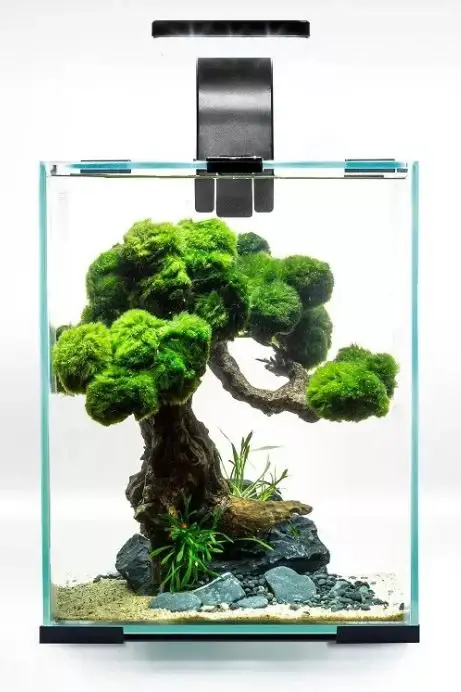 AQUAEL Acvariu echipat SHRIMP SET Day&Night, Negru