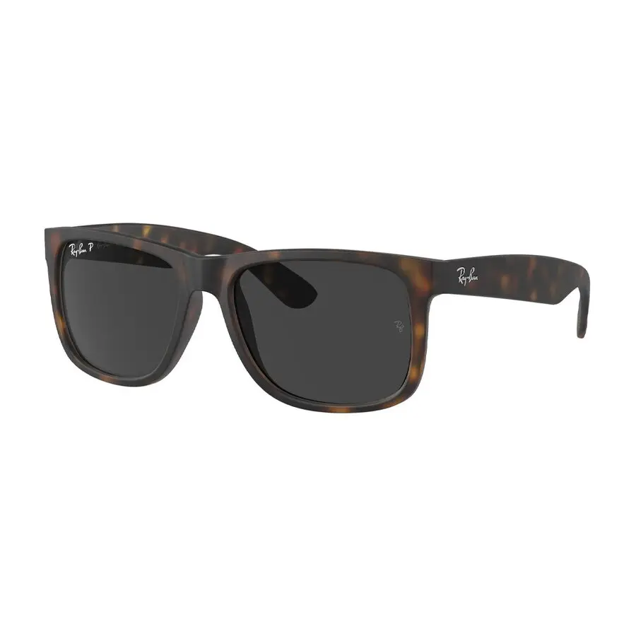 Ochelari de soare barbati Ray-Ban JUSTIN RB4165 865/87