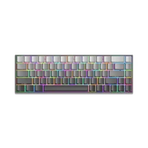 Tastatura Gaming cu fir White Shark NUNCHAKU, Full Anti-Ghosting, RED Switches, RGB, Cablu 1.8m (Gri)