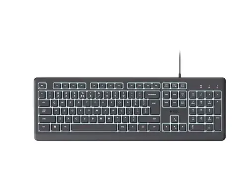 Tastatura cu fir Trust Primo, USB, iluminare LED alb, Gri