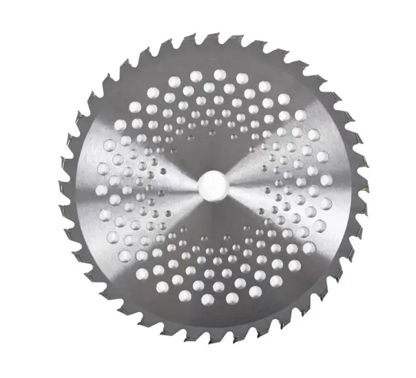 Disc cu 40 dinti Vidia HECHT 600640, pentru motocoase si trimmere, diametru lama 255 mm, grosime 1.8 mm