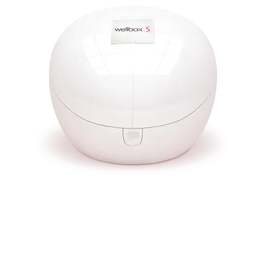 Aparat LPG WELLBOX S pentru acasa