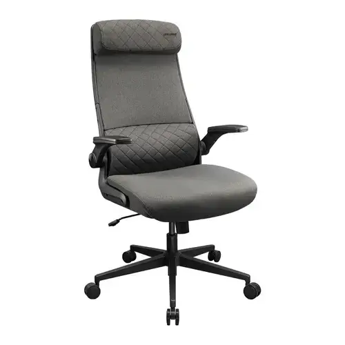 Scaun Ergonomic de Gaming COUGAR Stryder, Max 120 kg, Tetiere reglabila larga, Spuma (Gri)