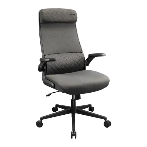 Scaun Ergonomic de Gaming COUGAR Stryder, Max 120 kg, Tetiere reglabila larga, Spuma (Gri)