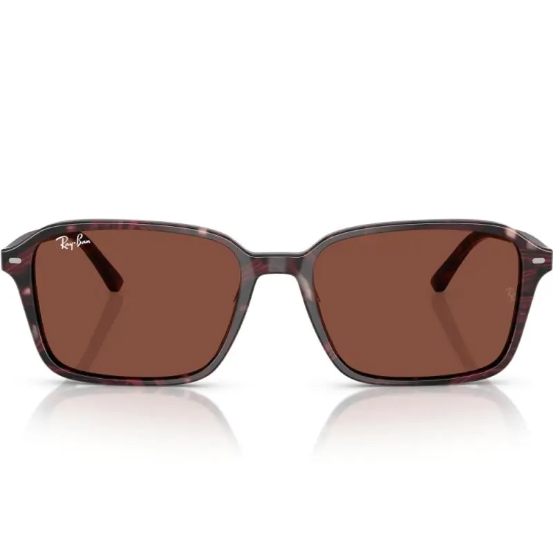 Ray-Ban RB2231 1416C5 56 RAIMOND