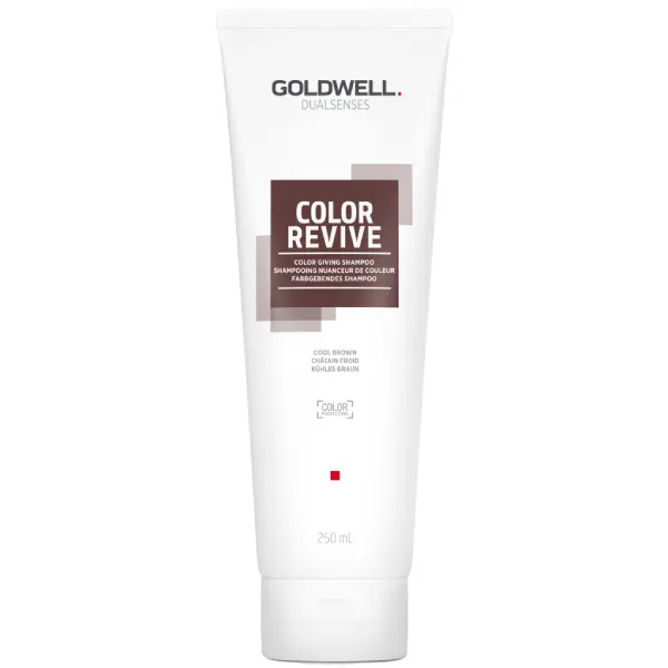 Sampon pentru revitalizarea culorii parului Goldwell Dualsenses Color Revive Cool Brown 250 ml
